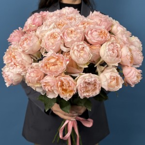 Кустовая пионовидная роза Джульетта Хани 60 см